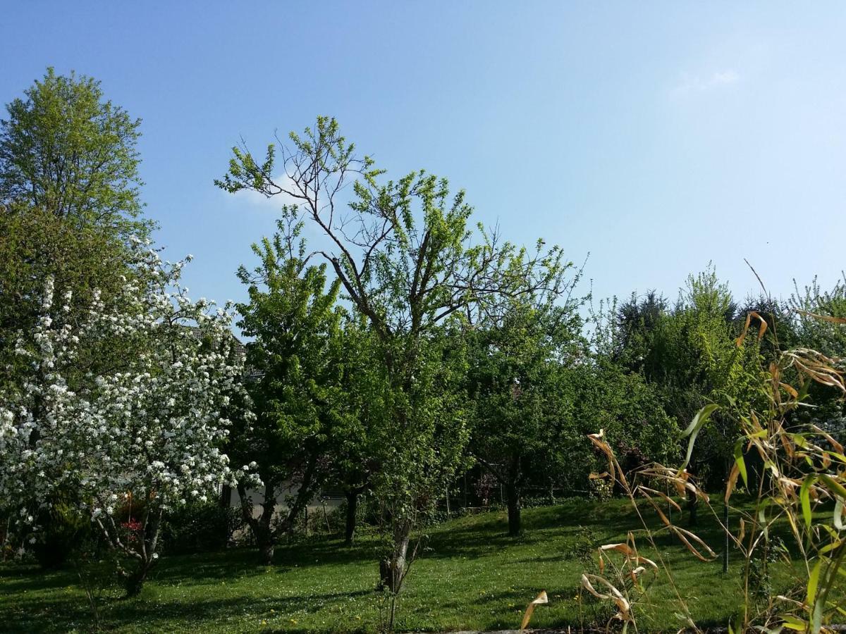 Au Dolois Holiday home *